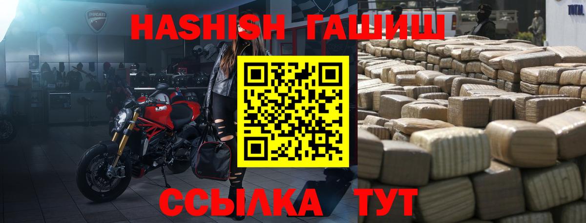 ГАШ Premium Коряжма