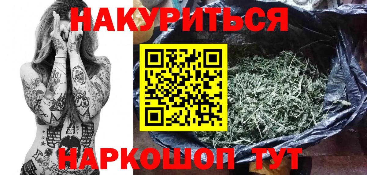 Конопля гибрид Коряжма